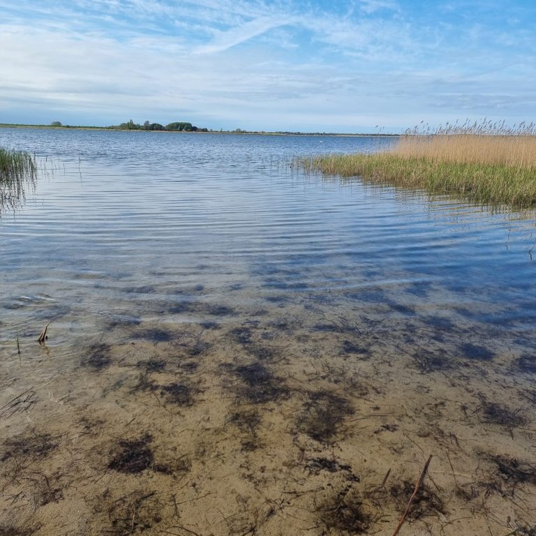 Bodden in Vieregge